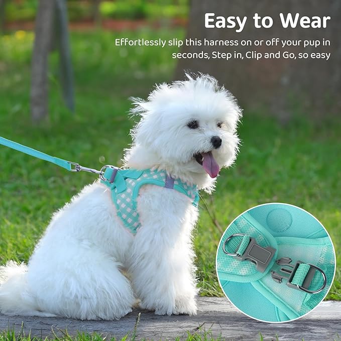 Gyuzh Dog Harness and Leash Set,Soft Mesh Breathable Small Dog Harness,Reflective Adjustable Puppy Harness,No Pull Pet Harness for Small Dogs and Cats