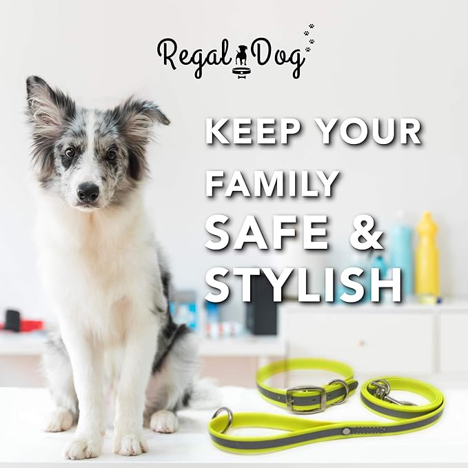 Regal Dog Products Large Yellow Reflective Dog Collar and Leash Set - Waterproof Biothane Dog Collar with Heavy Duty Double Buckle, D Ring & 5ft Leash - Other Size for Medium & Large Dogs