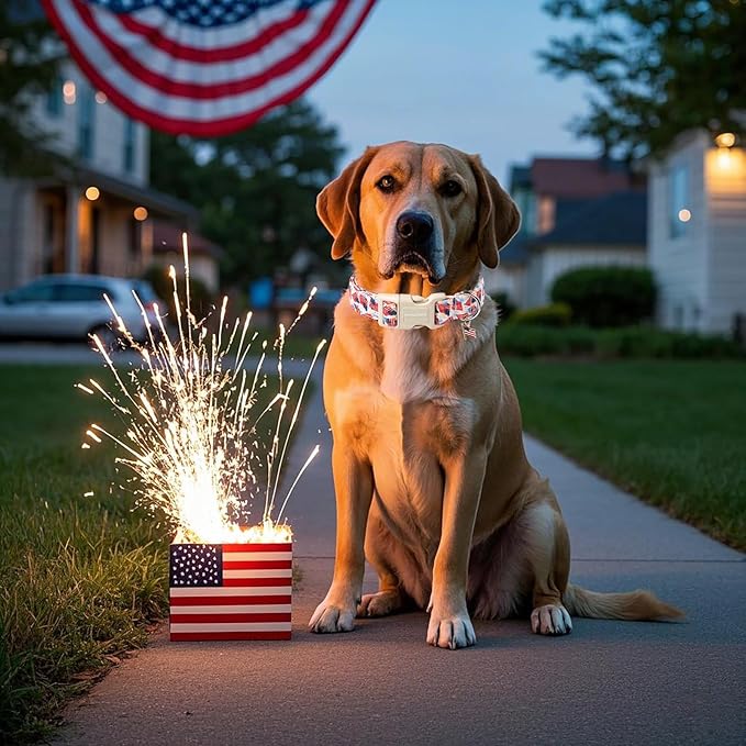 DOGWONG American Flag Dog Collar, Patriotic Independence Day Dog Collar Durable Soft Fabric Pet Dog Collars Boy Puppy Necklace for Small Medium Large Dogs