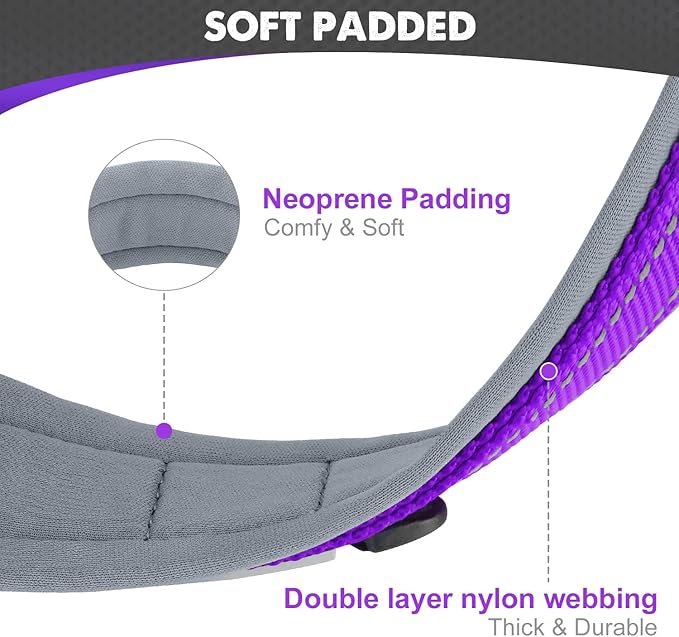 Joytale Dog Collar for Medium Dogs, Neoprene Padded and Adjustable, Reflective Wide Heavy Duty Pet Collars with Durable Metal Belt Buckle for Walking, Purple, M