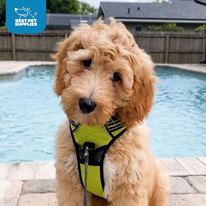 No Pull Dog Harness for Large Dogs, Dual Leash Attachments, Adjustable Soft but Strong Pet Harness with 3M Reflective Technology, Lime Green Nylon, XL (Chest: 28-37")