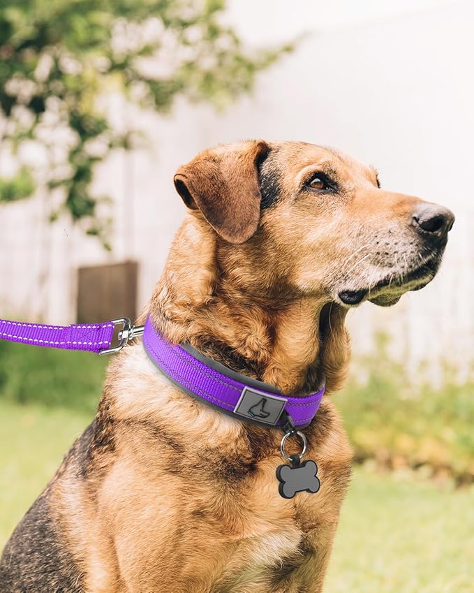 Joytale Dog Collar for Extra Large Dogs, Neoprene Padded and Adjustable, Reflective Wide Heavy Duty Pet Collars with Durable Metal Belt Buckle for Walking, Purple, XL