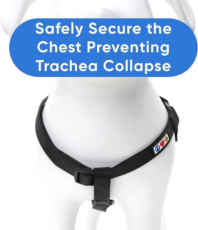 Pawtitas Step-in Dog Harness Solid Color Vest for Training & Walking, Puppy & Medium Dog Black Onyx