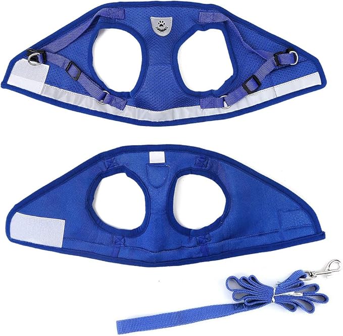 FEimaX Dog Harness and Leash Set for Walking, Soft Mesh Adjustable Easy Control Lightweight Cat Vest Harnesses with Reflective Strips, Escape Proof Small Dogs Cats Vests (Blue, Large)