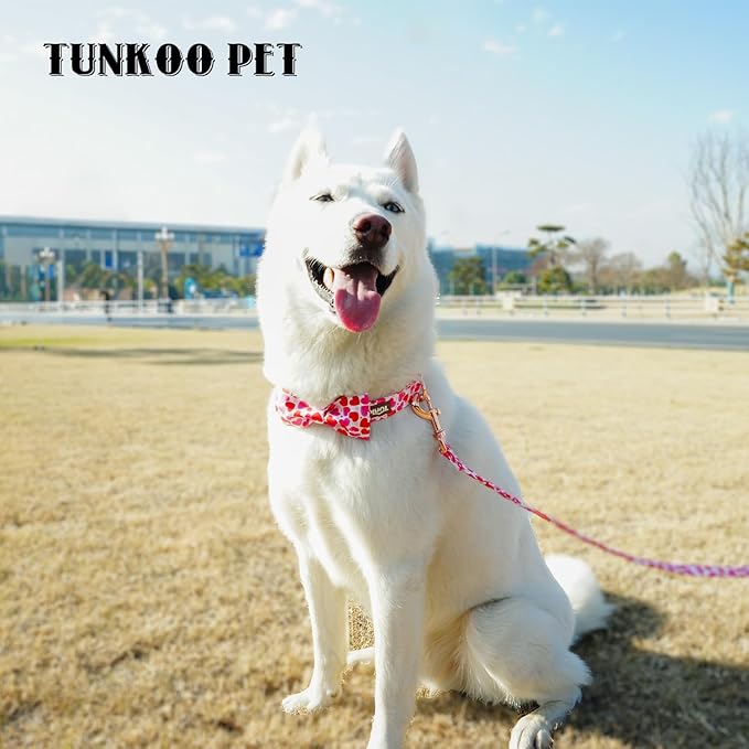 Tunkoo Valentine's Day Dog Collar with Bow Tie - Adjustable and Adorable Pet Collar - Red Hearts with Rose Gold Buckle for Large Medium Small Dog Walking, M