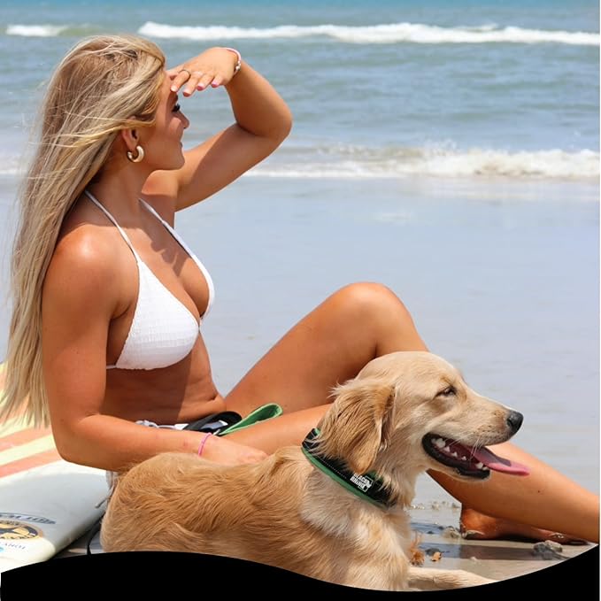 Black Rhino Dog Collars for Medium Dogs - Adjustable Reflective Heavy Duty Dog Collar with Ultra-Soft Neoprene Padding - Weatherproof, Durable, and Comfortable - Ideal for Active Dogs - Red and Black