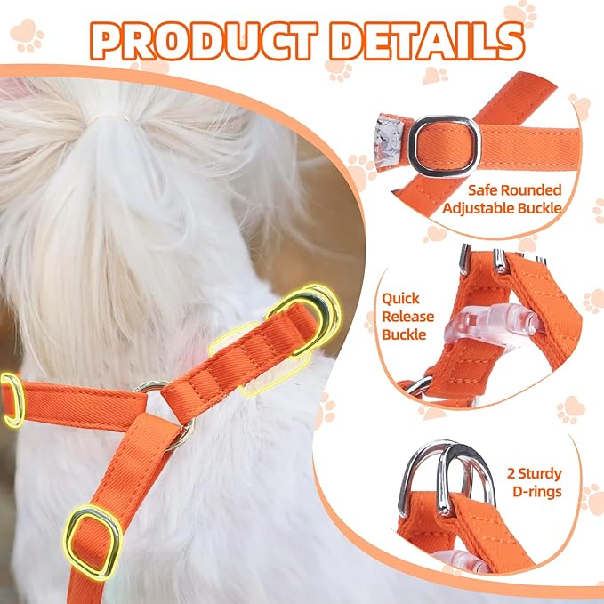 PUPTECK Dog Harness and Leash Set Small Sized, Step-in Cute Puppy Harness, Soft Lightweight Padded Vest, Escape Proof No Pull Pet Harnesses Easy for Walking, Flower Orange, XS