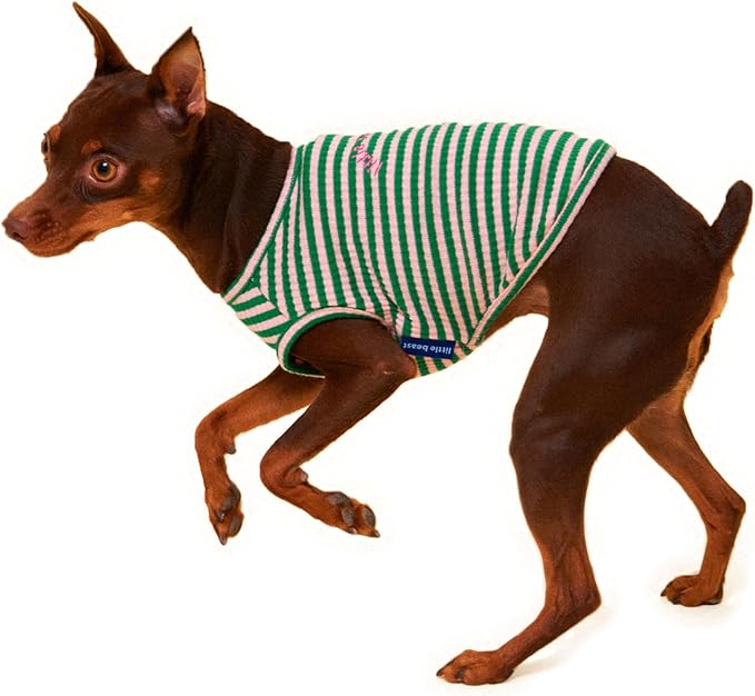 Little Beast Dog Clothes - Pet Clothes for Large, Medium, and Small Dogs (Dog Shirts Come in Multiple Colors and Styles) - Size: XX-Large Dogs, Multicolor