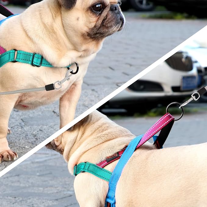 Didog No Pull Dog Harness with Soft Padded Handle, Quick Fit & Lightweight Adjustable Vest Harness, Easy for Training Walking for Small & Medium and Large Dogs(Blue,M)