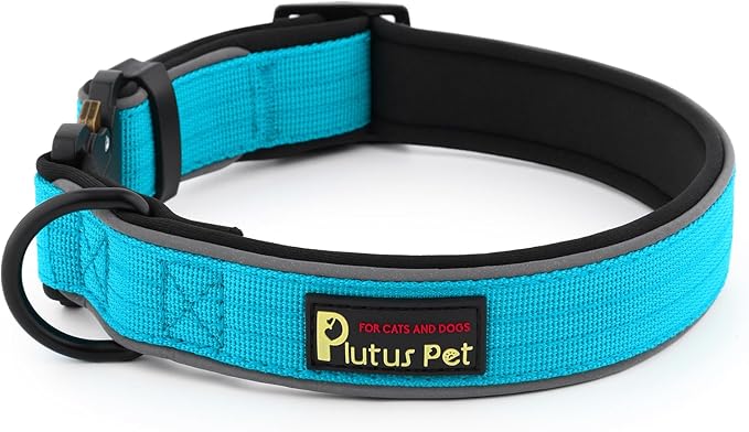 Plutus Pet Tactical Dog Collar, Reflective, Adjustable Heavy Duty Dog Collar, Soft Padded and Comfortable, for Small Medium and Large Dogs (Cyan, L)