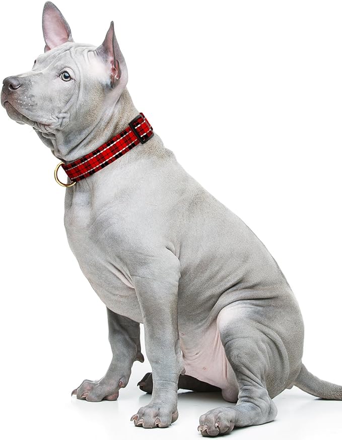 Reflective Dog Collar for Medium Dogs, Cute Boho Adjustable Heavy-Duty Nylon Puppy Collar for Boy and Girl Female, Soft Pet Accessories with Quick Release Buckle, Black Red Tartan