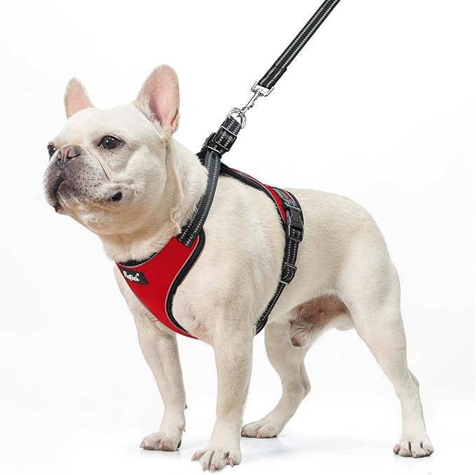 PUPTECK Dog Harness and Leash Set for Small Medium Sized Dogs, No Pull Dog Harness for Walking Training, Adjustable Reflective Puppy French Bulldog Frenchie Harness Soft Padded Vest, Red, S