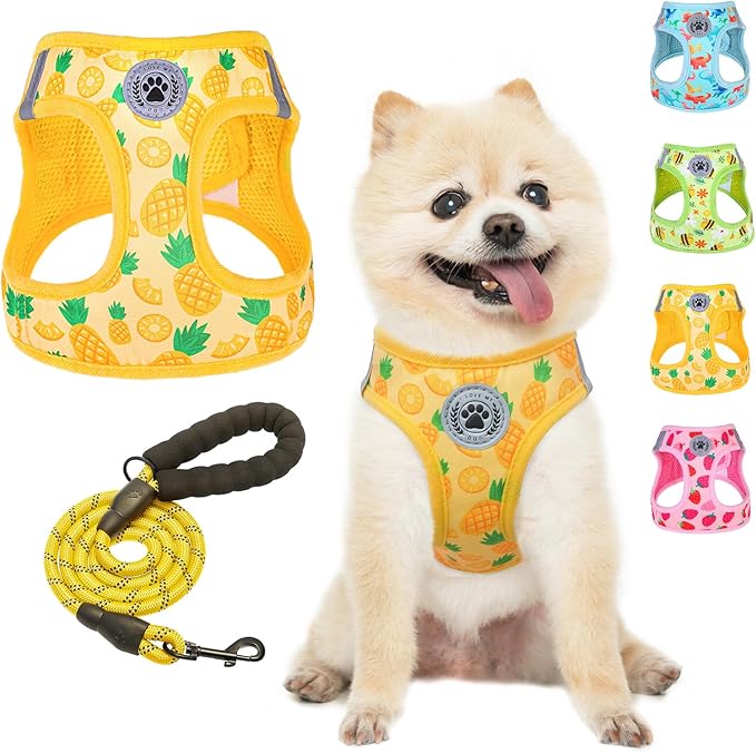 BEAUTYZOO Step in Dog Harness and Leash Set,Reflective Dog Harness No Pull No Choke Puppy Harness for Small Medium Large Dogs Cats,Soft Padded Mesh Vest Harnesses for Girl and Boy Pets, Pineapple S