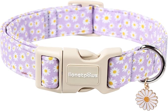 Lionet Paws Floral Dog Collar- Cute Daisy Purple Dog Collars with Plastic Buckle, Light Adjustable Dog Collars for Small Dogs