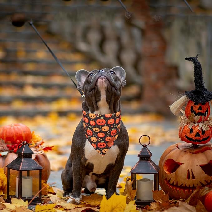 PTDECOR Halloween Dog Bandana, Skeleton Pumpkin Reversible Holiday Dog Scarf, Triangle Halloween Bandanas for Medium Large Dogs Pets (Large)