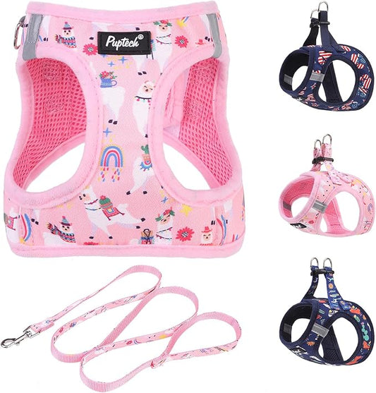 PUPTECK Dog Harness and Leash Set for Small Medium Dogs No Pull Step-in Soft Mesh Puppy Cat Vest Harnesses Reflective at Night, LightPink Print, S