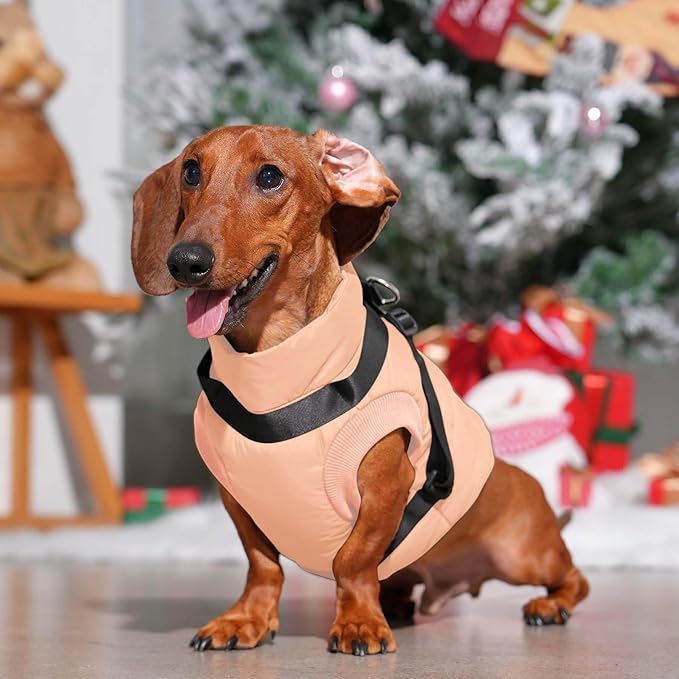 Dog Jacket with Harness,Fleece Lined Warm Puppy Coat for Winter,Soft Windproof Medium Dog Vest,LightOrange XL