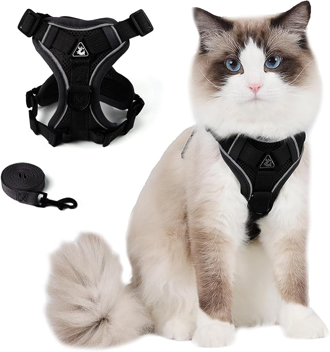 Cat Harness and Leash Set, Cat Escape Proof Adjustable Vest with Lead for Kitten Puppy Walking Outdoor, Soft Breathable Mesh Jacket with Reflective Strips for Dark Night (M, Black)