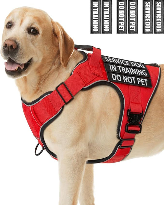 Reflective No Pull Service Dog in Training Vest Harness for Medium Large Dogs, Red Metal Buckles Front Clip Comfort Padded Adjustable Dog Harness with Do Not Pet Patches for Training Walking