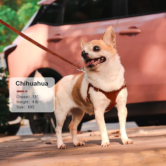 Didog Small Dog Harness and Leash Set, Soft & Lightweight Dog Vest Harness, Adjustable Leather Dog Harness for Small Dogs, Brown, XXS