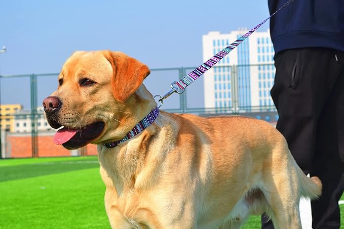 Dog Collar and Leash Set with Bohemia Floral Tribal Geometric Patterns - Soft Ethnic Style Collar Adjustable for Small Medium Large Dogs(Bohemian Purple Set,S)