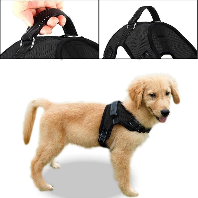 No Pull Reflective Adjustable Dog Harness With Handle- Comfortable Soft All Weather Mesh, Easy On Puppy Harness For Small Medium and Large Dogs (Black) X-Large