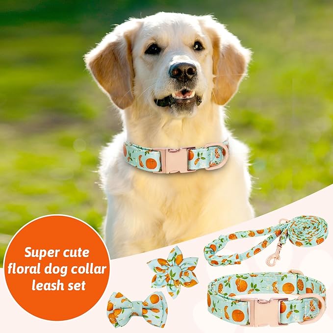 Dog Collar and Leash Set Girls Adjustable Puppy Collars with Fruit Bow Tie for Small Medium Large Female Dogs, Green Orange, M