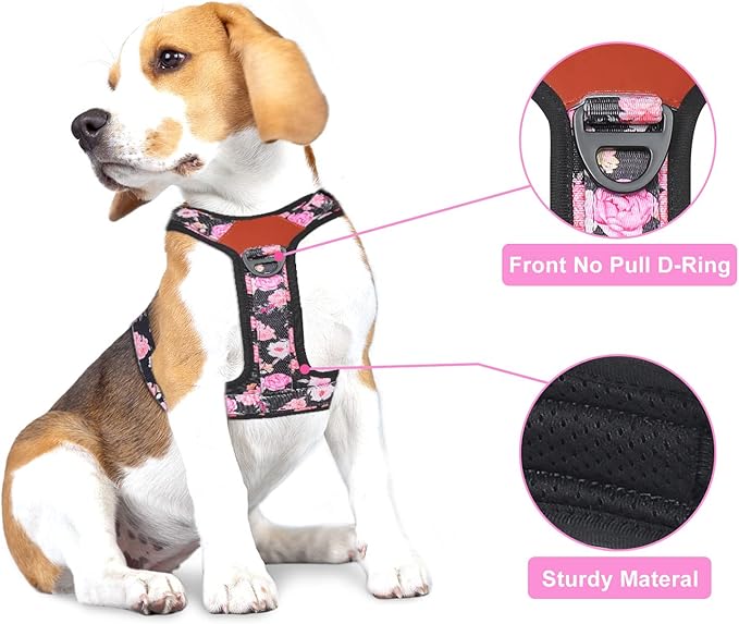 Petmolico No Pull Dog Harness Leash Set, Front and Back Metal Clips Easy Walk Dog Harness with Handle for Training Outdoor Adventures, Peony Small