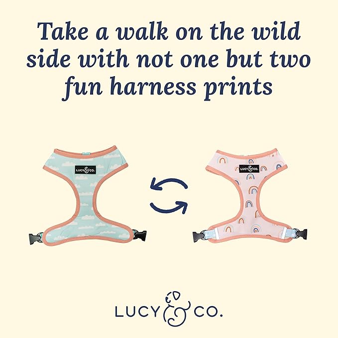 Lucy & Co. in The Clouds, Cute Reversible Dog Harness Walking Halter - Best Designer Pet Harnesses for Medium Dogs - Padded Adjustable Vest for Easy Walking (Large)