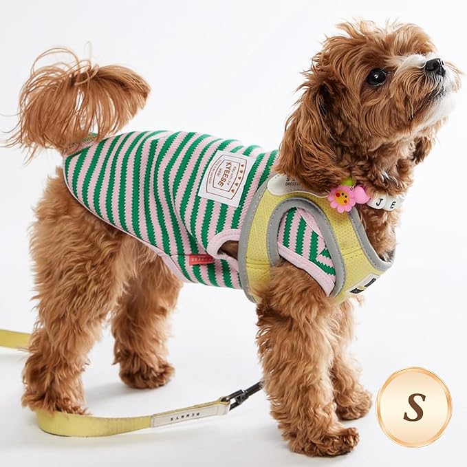 KYEESE 2Pack Dog Shirts Striped for Small Dogs Soft Stretchy T-Shirts Lightweight Tank Top Sleeveless Dog Vest Breathable Cat Shirt, Small, Orange+Green