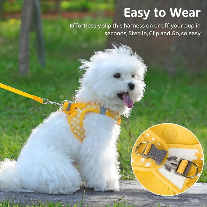 Gyuzh Dog Harness and Leash Set,Soft Mesh Breathable Small Dog Harness,Reflective Adjustable Puppy Harness,No Pull Pet Harness for Small Dogs and Cats