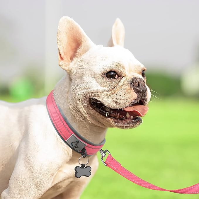 Joytale Dog Collar for Small Dogs, Neoprene Padded and Adjustable, Reflective Wide Heavy Duty Pet Collars with Durable Metal Belt Buckle for Walking, Pink, S