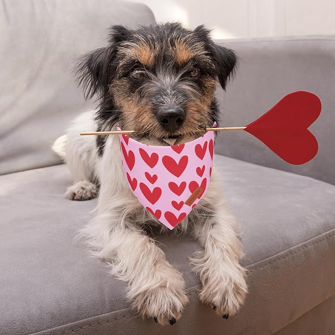PTDECOR Valentine Dog Bandana, Reversible Valentine Pet Scarf, Multi Size, Red Heart Bandanas for Small Dogs (Small)