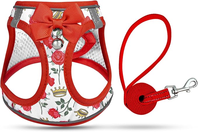 Cat Harness and Leash Escape Proof for Walking, Adjustable Soft Kitten Harness with Reflective Straps Step in Cat Vest Harness for Small Kitten and XS Dogs (Red, XXS-Chest(8.7"-10.2"))