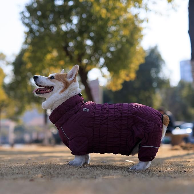 Lovelonglong Warm Dog Coat, Double Layers Vest, 4 Legs Covered Windproof Waterproof Reflective Outdoor Skating Costume for Corgis Dachshund, Purple, Size D-S