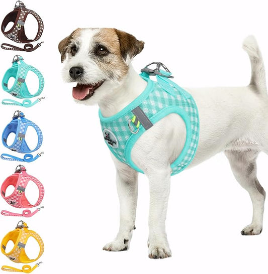 Gyuzh Dog Harness and Leash Set,Soft Mesh Breathable Small Dog Harness,Reflective Adjustable Puppy Harness,No Pull Pet Harness for Small Dogs and Cats