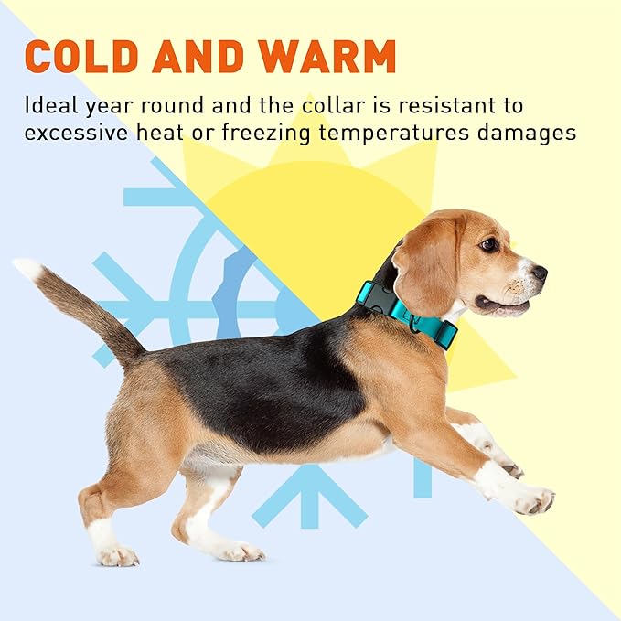 Dogline Biothane Waterproof Dog Collar with Quick Release Buckle Strong Coated Nylon Webbing with Odor- Proof for Easy Care Easy to Clean Fits Small Medium Large Dogs, Cyan Blue 3/4" W 12-19" L