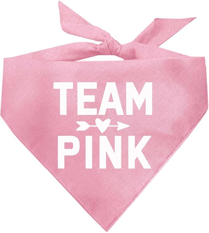 Team Pink | 100% Cotton Adjustable Triangle | Made in USA | Pregnancy Announcement Photoshoot Prop | New Baby | Gender Reveal | Baby Pink X-Small (210)