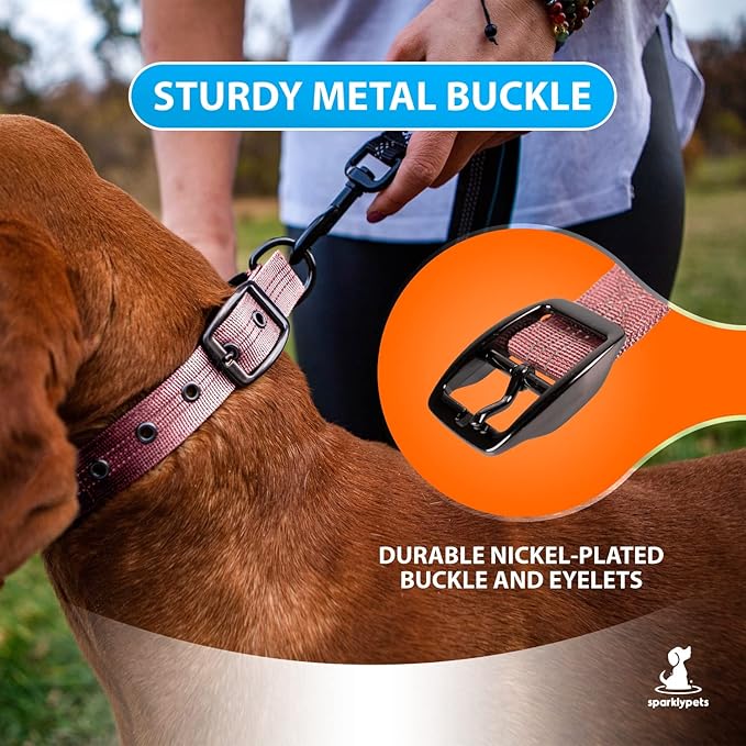 SparklyPets Heavy Duty Dog Collar with Handle for Medium and Large Dogs – Professional Collar with Reflective Stitches, Soft Handle & Nickel-Plated Buckle (Large (18"~22"), Pink)