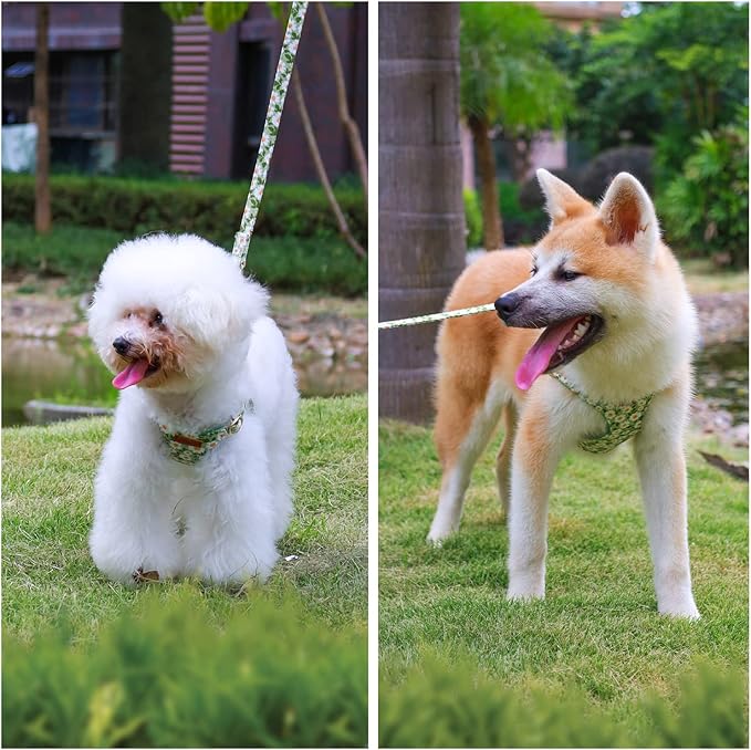 CHEDE No Pull Floral pattern Dog Harness- Lightweight and Soft Dog Harness, Adjustable Small Dog Harness and Leash Set, with Dog Leash, Suitable for Puppy Small and Medium-sized Dog (XXS, Green Daisy)