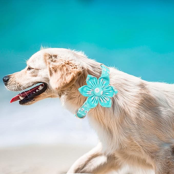 Elegant Little Tail Girl Dog Collar with Flower for Small, Medium, Large Dogs - Summer Flower Collar