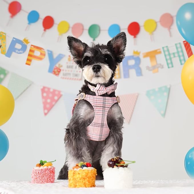 Beirui Cute Small Dog Harness Collar and Leash Set with Bowtie, Soft Adjustable Pink Puppy Harness for Small Sized Dogs Cats Walks Parties and Photoshoots(Pink,XS:Chest 13-18")