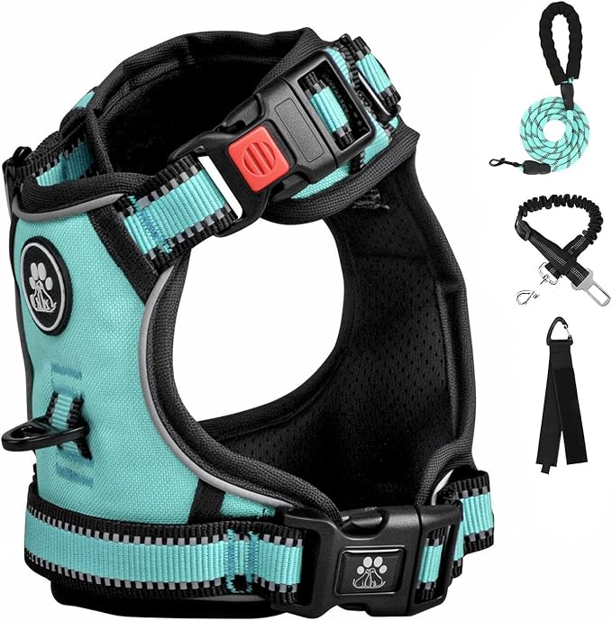 FURRYFECTION Dog Harness | No Pull Dog Harness | Reflective Oxford | Padded Handle | 4 Adjustable Straps | 2 Leash Clips | No Choke Pet Vest Harness for Small Medium Large Dogs | Turquoise | XL