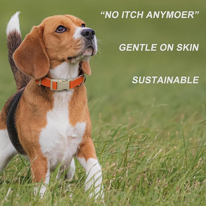 Plutus Pet Cotton Hemp Dog Collar and Leash Set, Adjustable Collar for Small, Medium, and Large Dogs, Heavy Duty and Soft on Skin, Orange, S