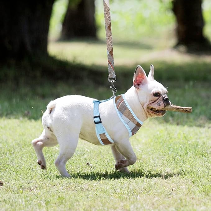 PUPTECK Soft Mesh Dog Harness and Leash Set Pet Puppy Cat Comfort Padded Vest No Pull Harnesses, Blue&Brown, M