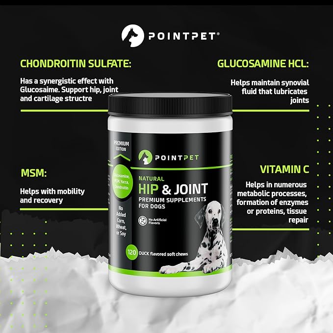 POINTPET Glucosamine for Dogs, 120 Count - Hip & Joint Supplement - Dog Mobility Soft Chews with Chondroitin & MSM - Supplement with Omega 3