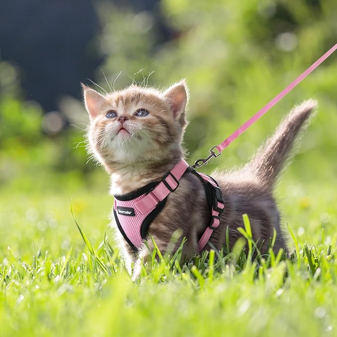 Dooradar Cat Harness and Leash Set, Escape Proof Safe Adjustable Kitten Vest Harnesses for Walking, Easy Control Soft Breathable Mesh Jacket with Reflective Strips for Cats, Pink, XXS