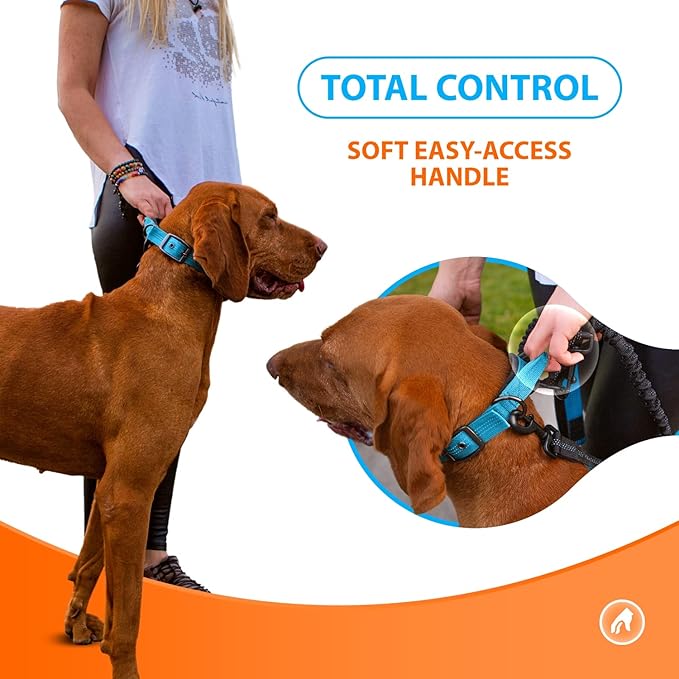 SparklyPets Heavy Duty Dog Collar with Handle for Medium and Large Dogs – Professional Collar with Reflective Stitches, Soft Handle & Nickel-Plated Buckle (Large (18"~22"), Blue)