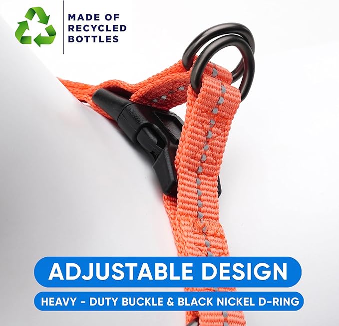 Pawtitas Recycled Dog Harness with Reflective Stitched a Puppy Harness Made from Plastic Bottles Collected from Oceans Extra Small Living Coral