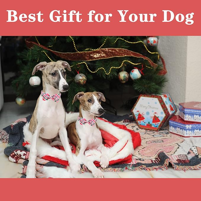 Unique style paws Dog Collar with Bow Pink & Green Plaid Dog Collar Best Gifts for Small Medium Large Dogs -XL